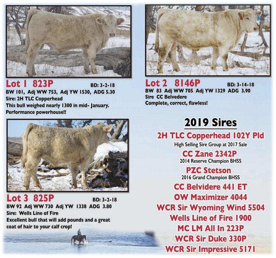 2019 Featured Sires 2019 Featured Sires