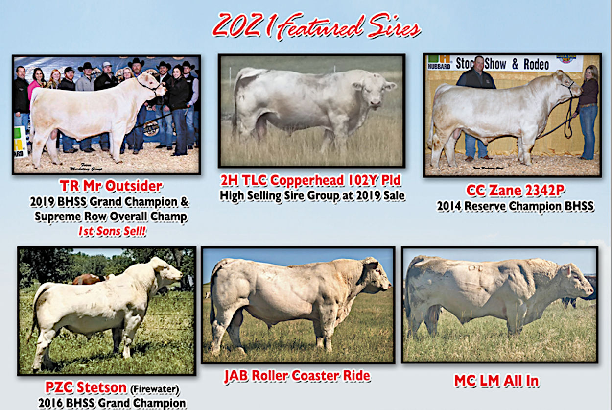 2021 Featured Sires 2021 Featured Sires