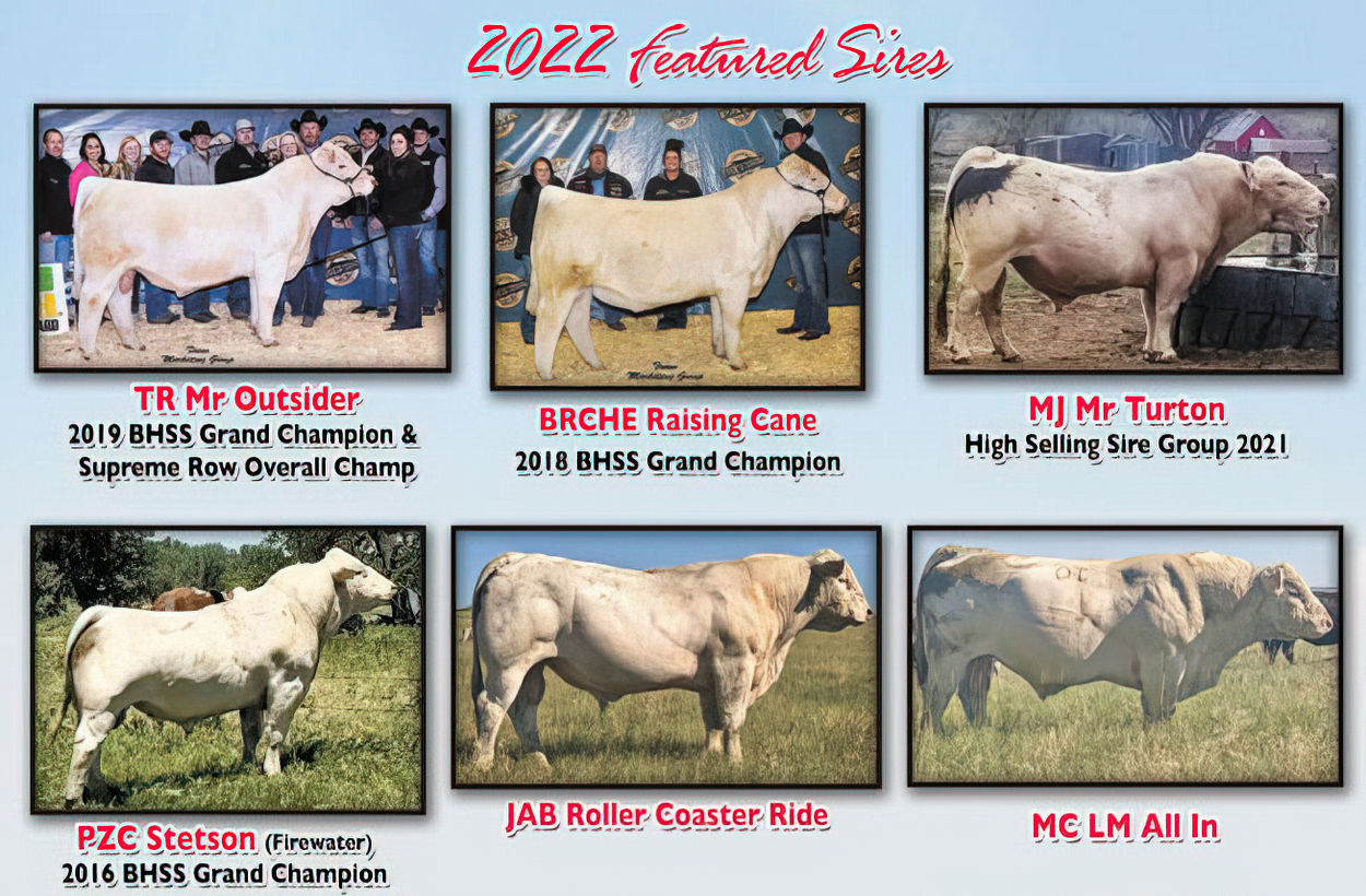 2022 Featured Sires