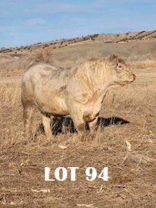 Lot 94