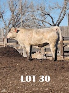 lot 30