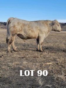 lot 90