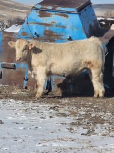 LOT 25