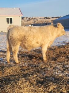 LOT 30